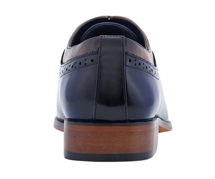 
                      
                        Amali Piedmont navy cap toe oxfords​ back
                      
                    