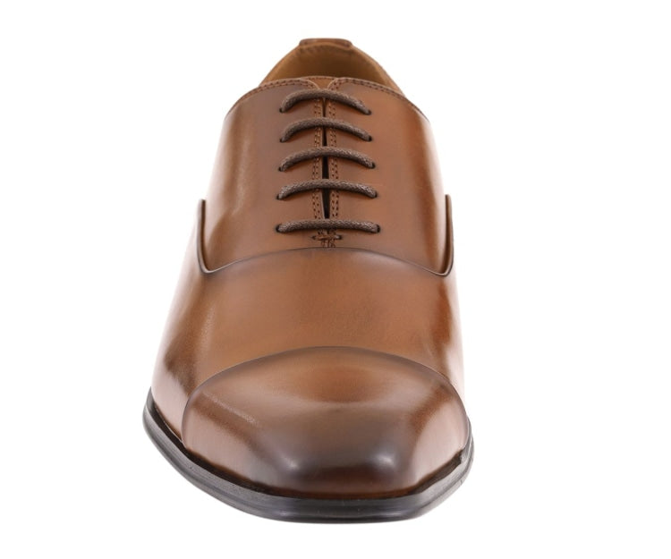 
                      
                        Amali Zyon cognac cap toe oxford front
                      
                    